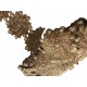 Galon orientale Raina bronze X 50 cm