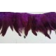Galon plumes violet X 50 cm