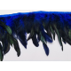 Galon plumes bleu roy X 50 cm