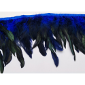 Galon plumes bleu roy X 50 cm