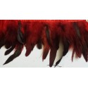 Galon plumes rouge X 50 cm