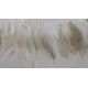 Galon plumes blanches X 50 cm