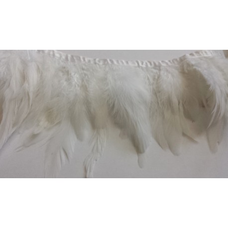 Galon plumes blanches X 50 cm