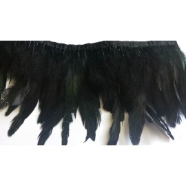 Galon plumes noires X 50 cm