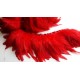 Galon plumes rouge